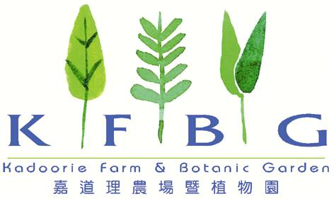 K F B G  logo (copyright 1998, KFBG)